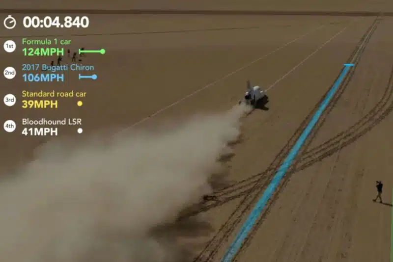 Bloodhoundvideo