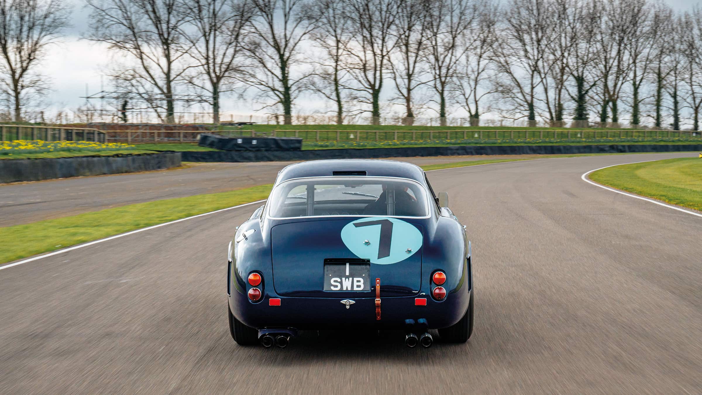 Rear of Ferrari 250 GT SWB’s