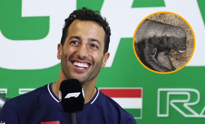 Ricciardo Honey Badger