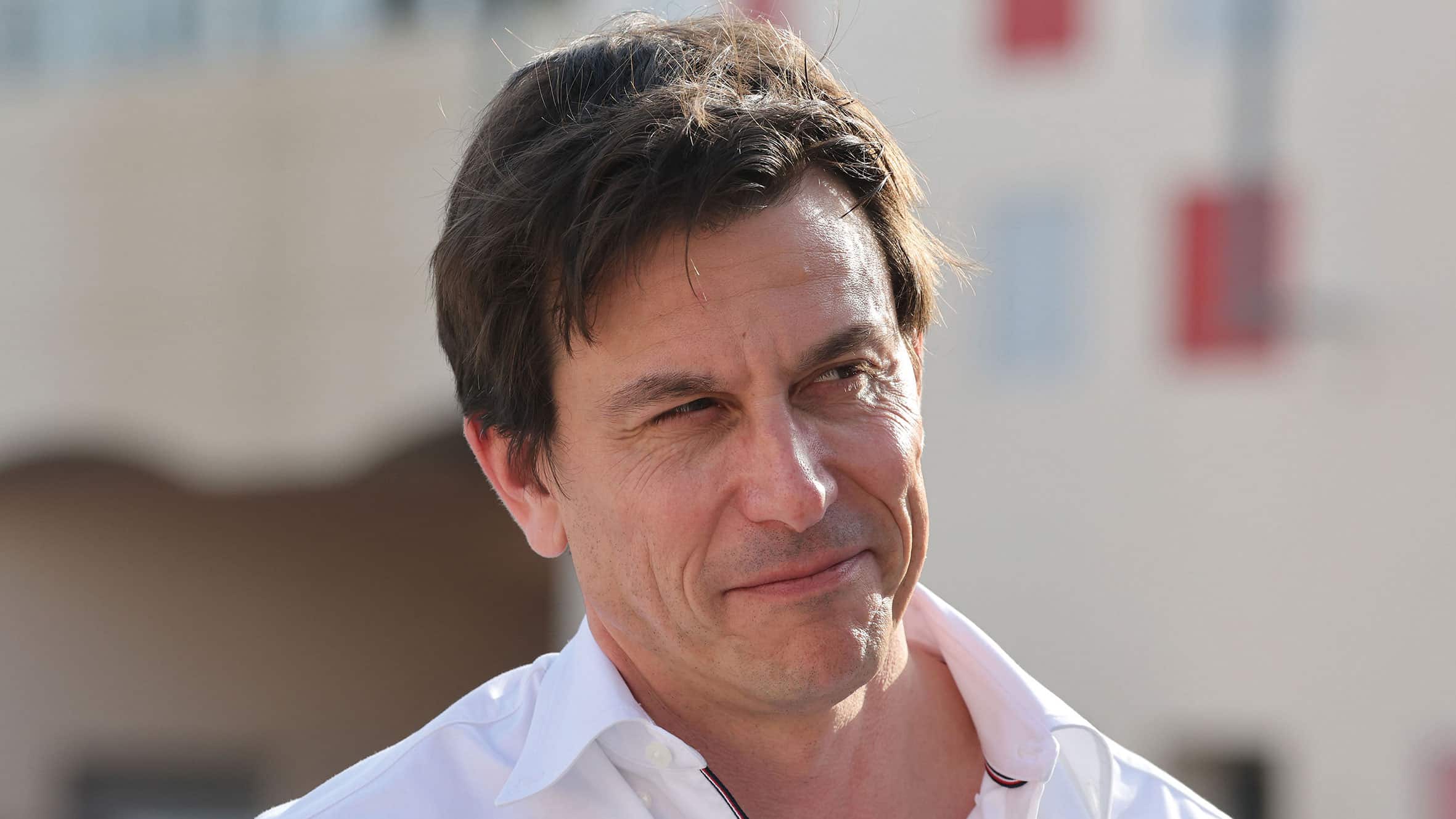 Wikipedia Wizard Wolff