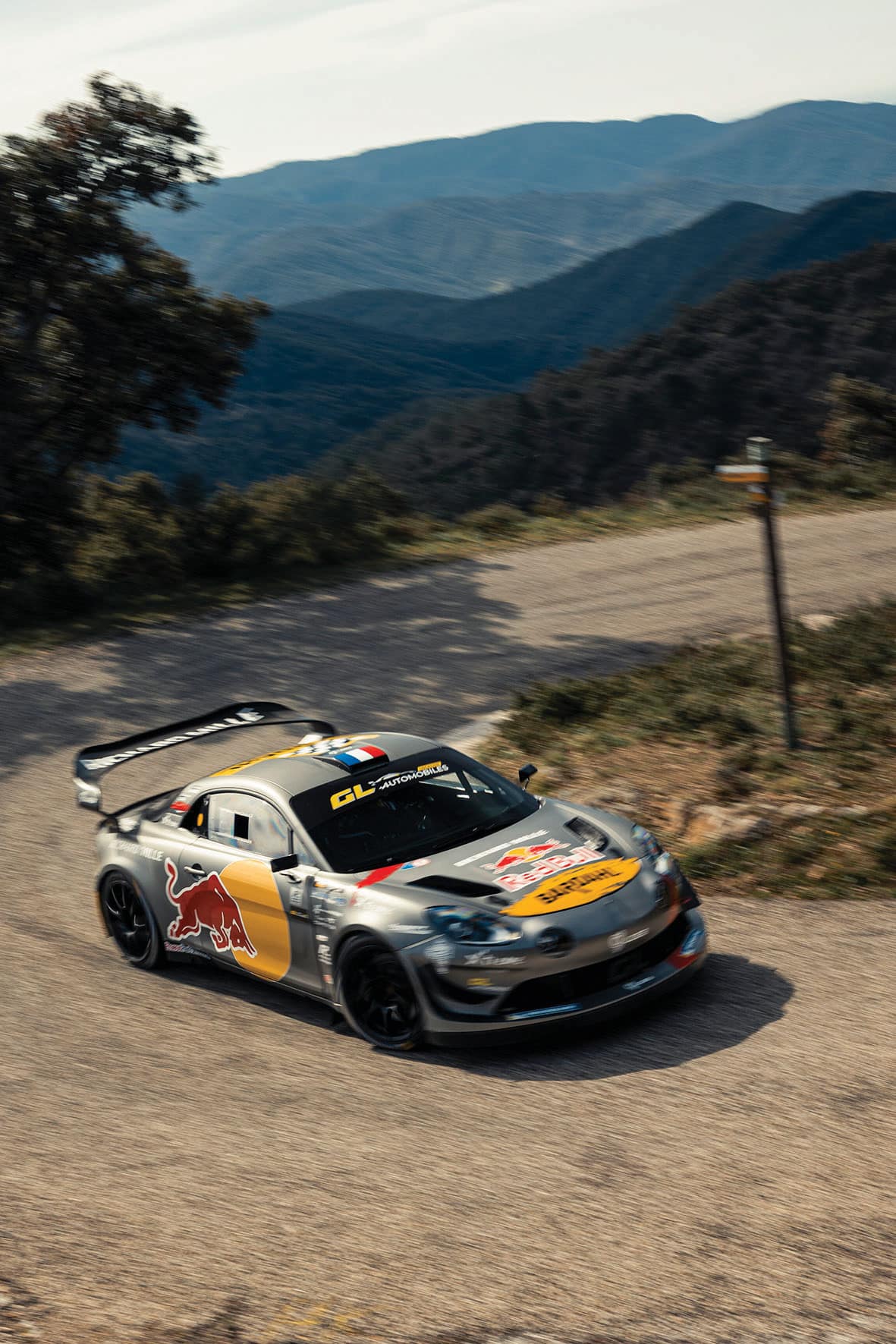 Seb Loeb in rally car