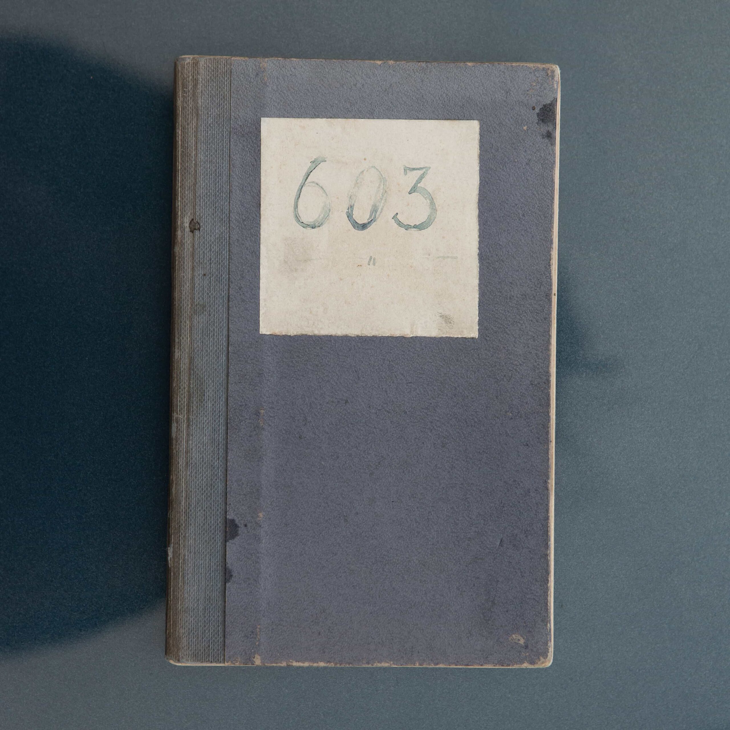 Jaguar-D-type-603 book