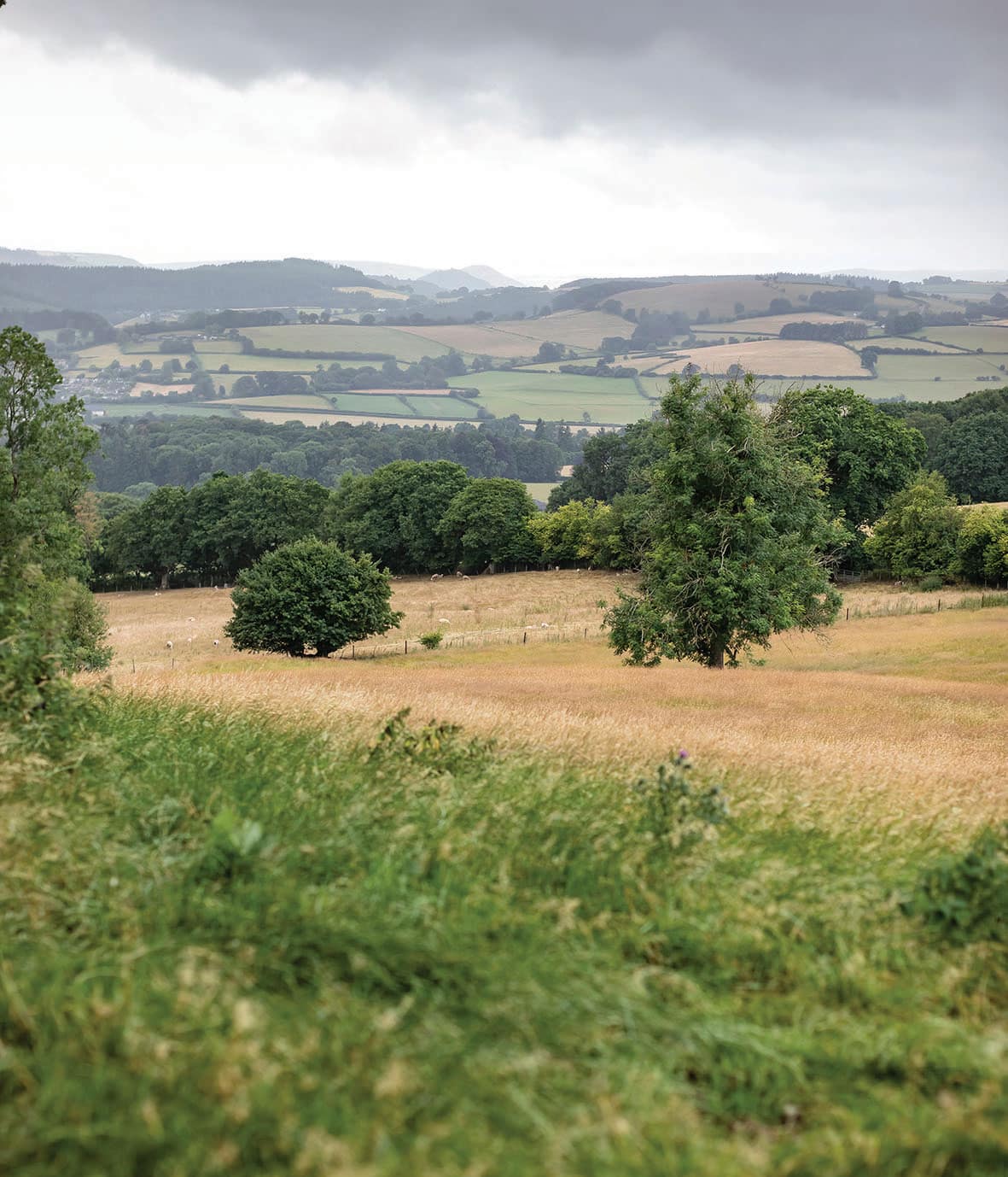 Herefordshire home Peter Wright
